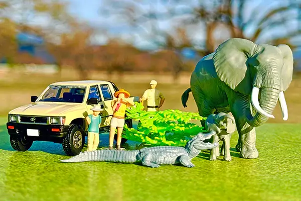 Kaiyodo x Tomica Limited Vintage Diocolle 64 #CarSnap 29a Safari 2 (Toyota Hilux 4WD Pickup Double Cab Included) - Image 2