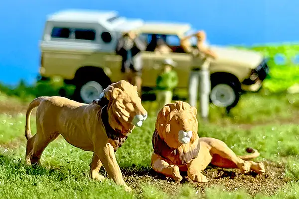 Kaiyodo x Tomica Limited Vintage DioColle 64 #CarSnap 32a Safari 4 (Nissan Truck 4x4 King Cab Included) - Image 3